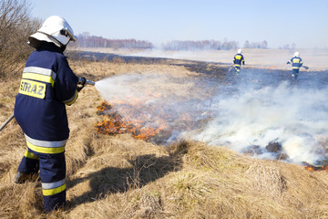 Firefighter fights grass fires. Polish firefighter.