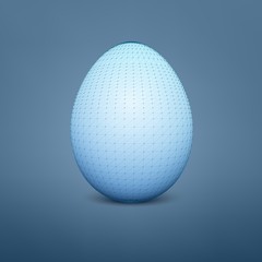 Fototapeta na wymiar Abstract vector egg. 3D mesh object. Futuristic style card. Lines, point, planes in 3d space.