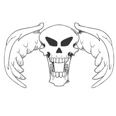 teschio