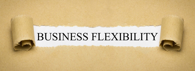 Business Flexibility