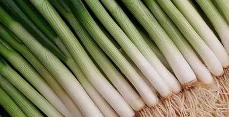 Green onions