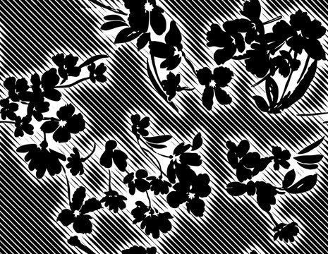 Black White Floral And Line Patterns