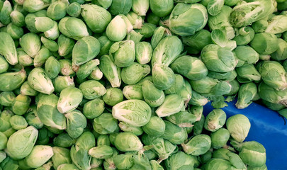 Brussel cabbage