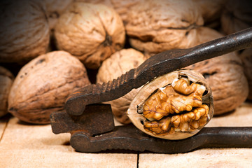 Old Nutcracker with Walnuts