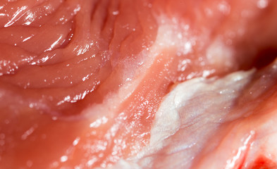 Fototapeta premium fresh meat as a background. macro