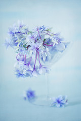 Fototapeta premium Beautiful purple hydrangea flowers close-up in a vase on a light blue background. 