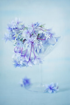 Beautiful purple hydrangea flowers close-up in a vase on a light blue background. 