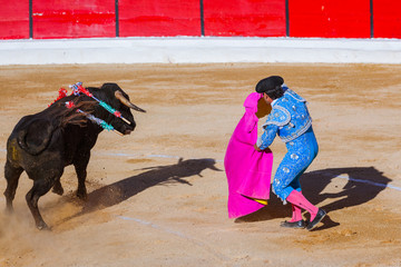 MOITA LISBON, PORTUGAL - SEPTEMBER 14: Matador and bull in tourada bullfight on September 14, 2016...