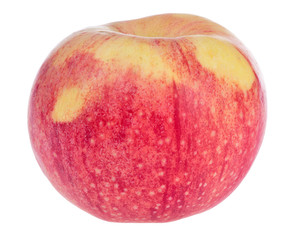 single Fuji apple on white