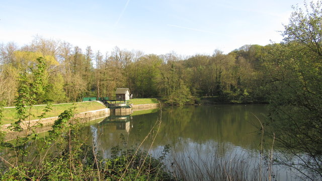 Etang de la geneste, Buc