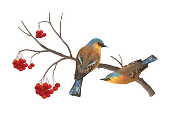 Vector Birds on Branch