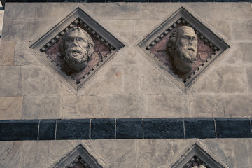 fade male relief siena