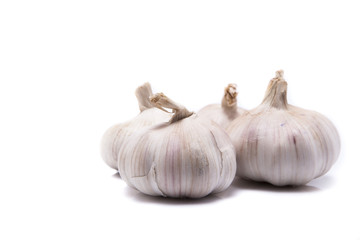 Garlics isolate on white background for healthy education