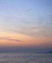 Fototapeta na wymiar At sunset near the sea flying birds