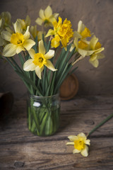 Amazing grunge background with Yellow flowers