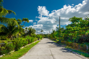 Street in the Caribbean with a lush vegetation on both side of the road, Grand Cayman,  Cayman...