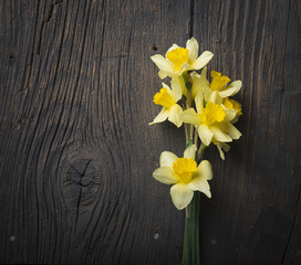 Amazing grunge background with Yellow flowers