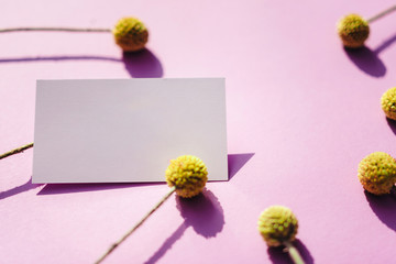 Business card mock up with Craspedia flowers on pink background.
