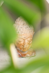 Buddha Statue in Green Tropical Leaves