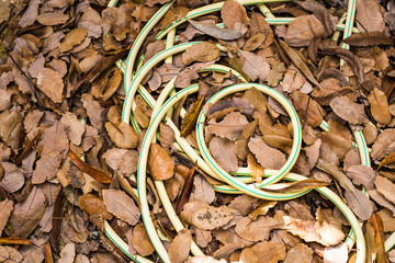 Garden hose-pipe outdoor