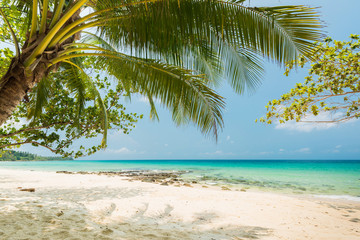 Fototapeta na wymiar The exotic beach for relaxation, Located Koh Kood Island, Thailand