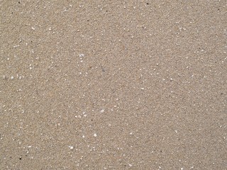 ベージュの砂