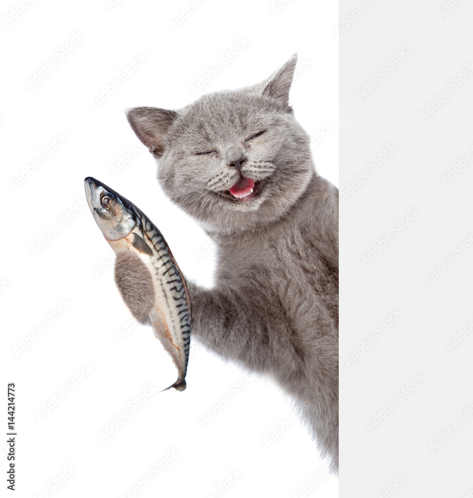 Aufkleber Happy cat holding a fish in its paw and peeking from behind empty board. isolated on white background
