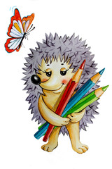 Illustration hedgehog with pencils and butterfly