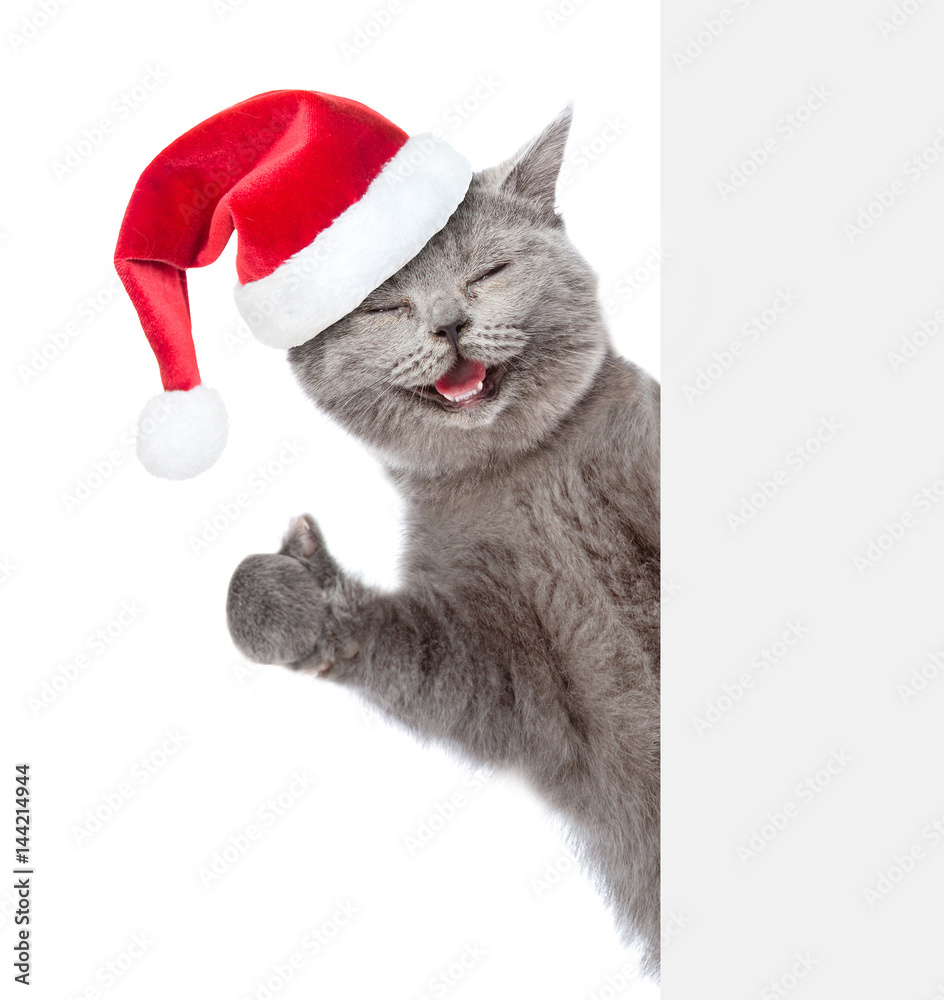 Aufkleber happy cat in red christmas hat peeking from behind empty board and showing thumbs up. isolated on wh