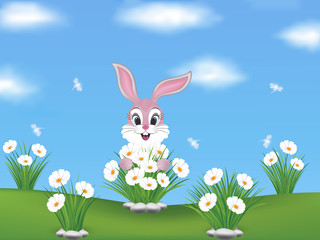 Spring background with pink, cute bunny an lovely white flowers on the field. Dragonflies on the blue sky.