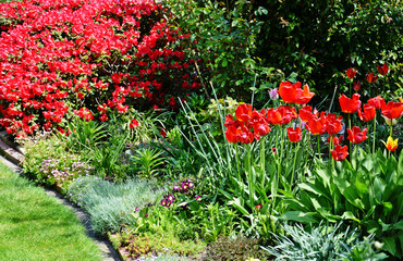 Blumenbeet im Garten