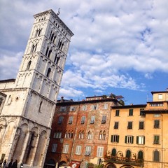 Fototapeta na wymiar piazza San Michele Lucca