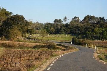 schmale kurvige Landstra&szlig;e