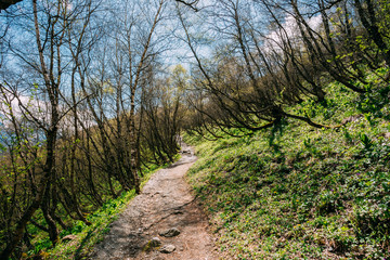Fototapeta premium Mountains Road Path Way Lane On A Hillside In A Sunny Summer Day