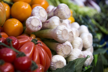 Bunte Tomatenvielfalt und anderes Gemüße