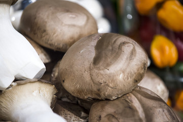 Braune Champignons im Supermarktregal