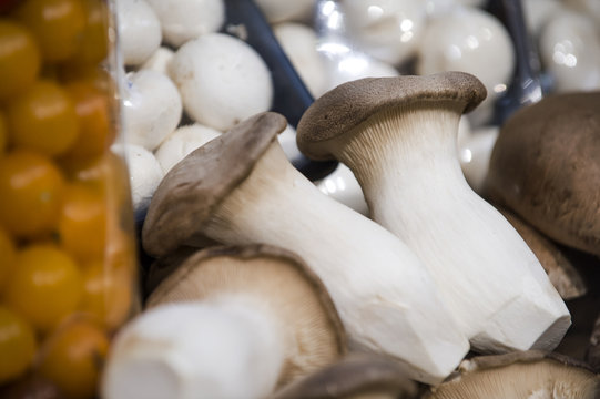 Pilze im Supermarkt regal