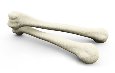 medically accurate 3d illustration of the femur