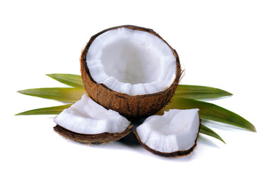 Coconut with leaves