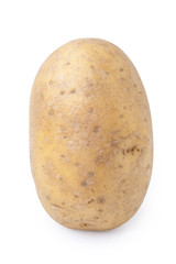 potato tuber vertical