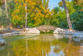 The bridge over the pond