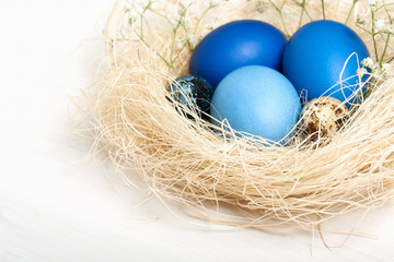 Easter eggs in a nest