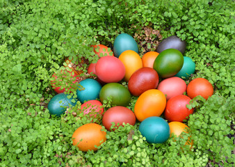 Colourful Easter eggs in a green nest - hiding in foliage