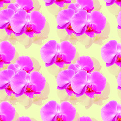 Orchid. Seamless pattern texture of flowers. Floral background, photo collage