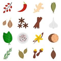 Spice icons set in flat style