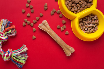 Pet accessories on red background. Top view