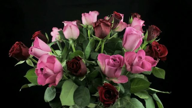 bouquet of roses on a dark background rotates