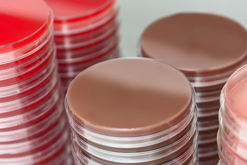 Red and brown petri dishes stacks in microbiology lab. Focus on stacks.