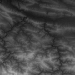 Fototapeta premium Vector abstract earth relief map. Generated conceptual elevation map. Isolines of landscape surface elevation. Geographic map conceptual design. Elegant background for presentations.