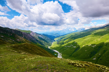 From the lawn with flowers opens a panoramic view.